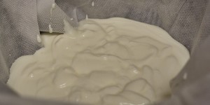 Jogurt se zakysanou smetanou